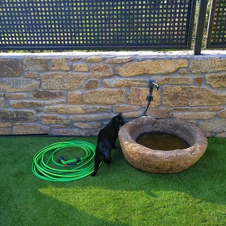 Casa Rural El Gato Negro Trefacio エクステリア 写真