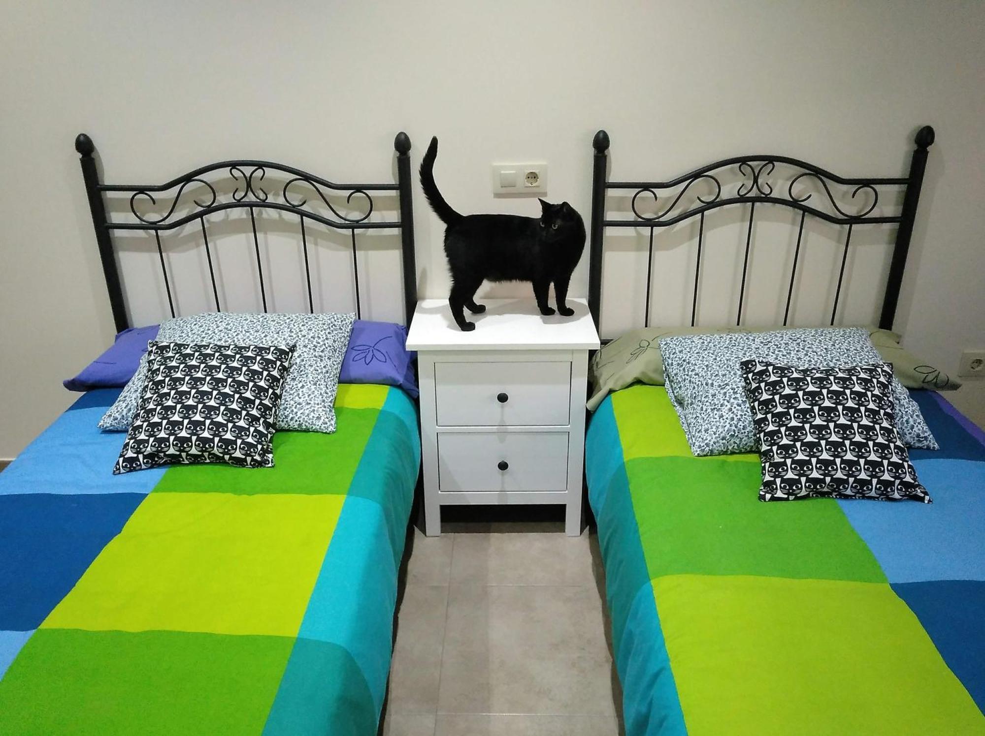 Casa Rural El Gato Negro Trefacio エクステリア 写真