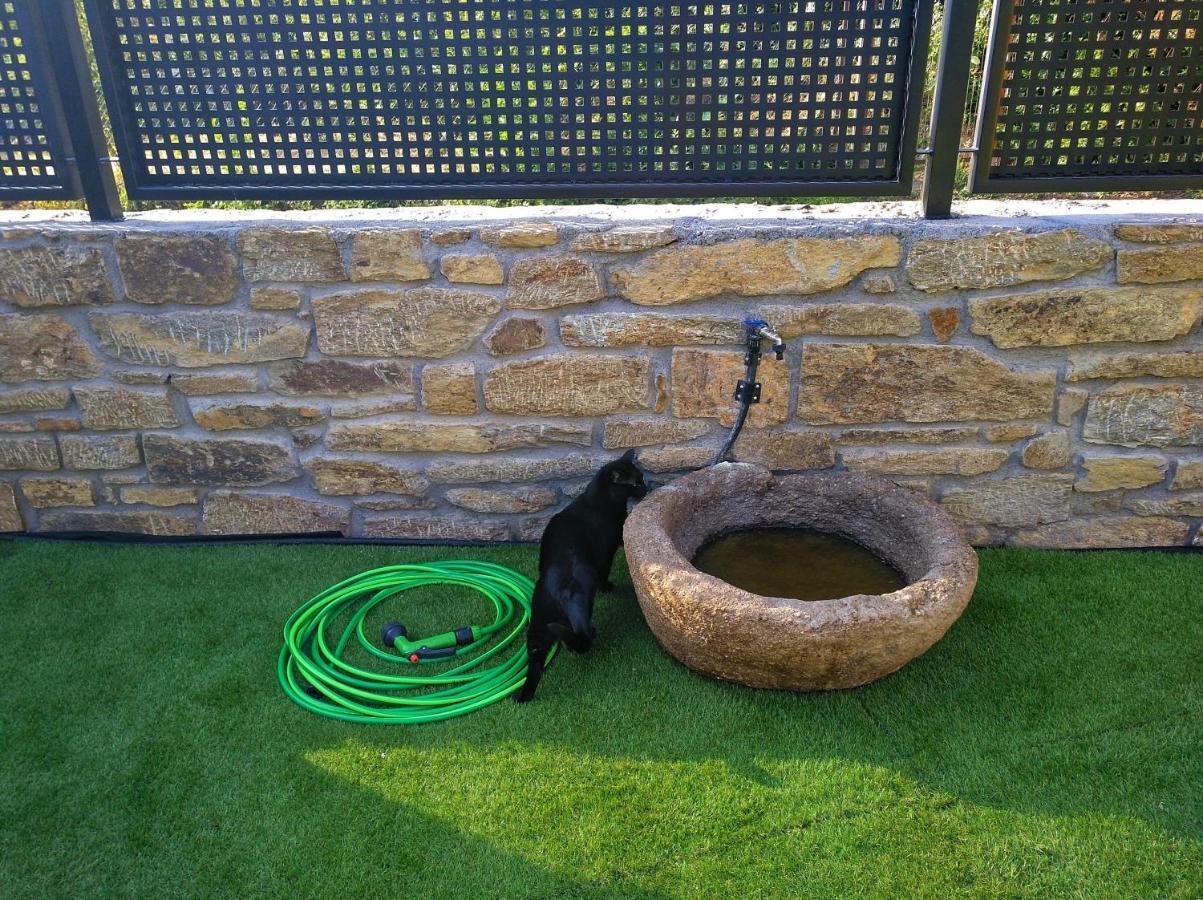 Casa Rural El Gato Negro Trefacio エクステリア 写真