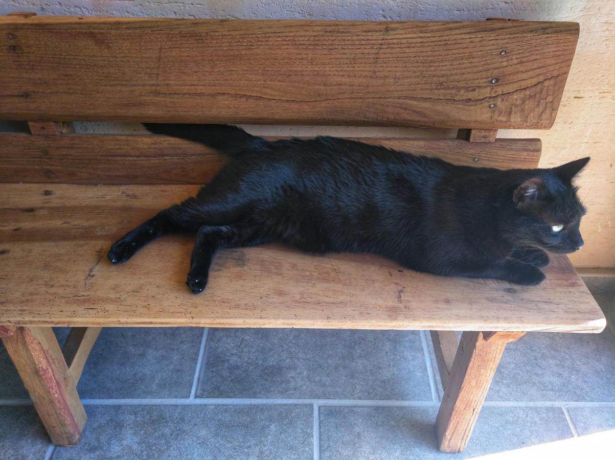 Casa Rural El Gato Negro Trefacio エクステリア 写真